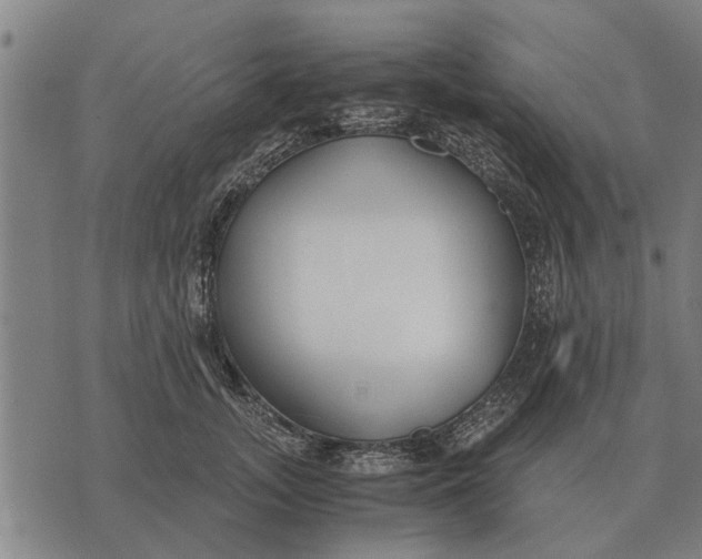 X0000073900755200609011718