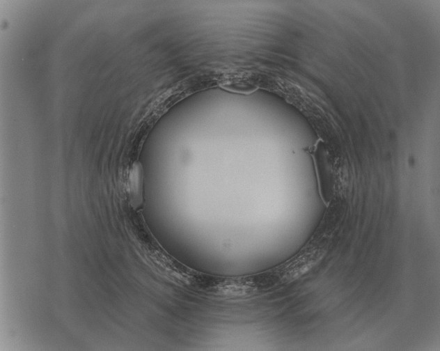 X0000073900756200609011718