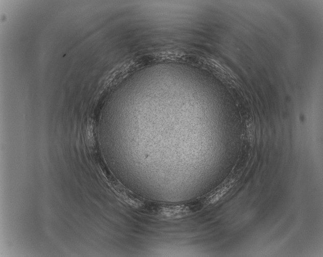 X0000073900757200609011718