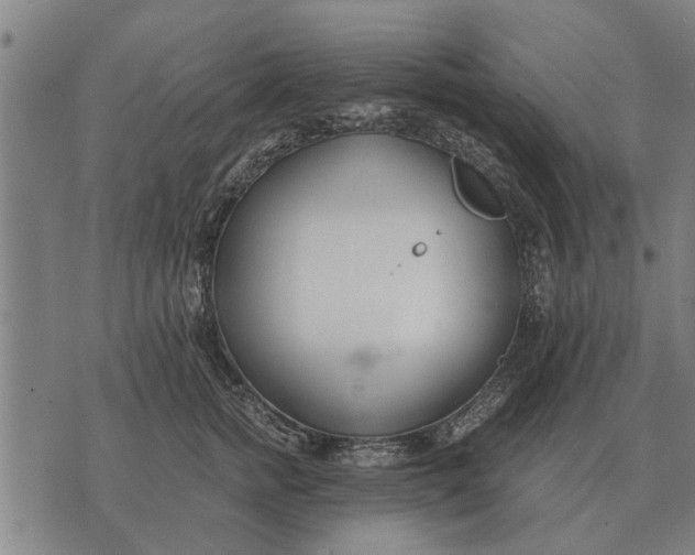 X0000073900758200609011718