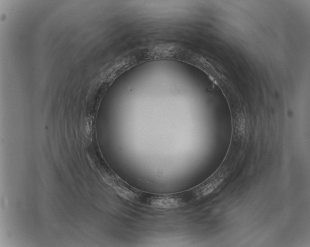 X0000073900759200609011718