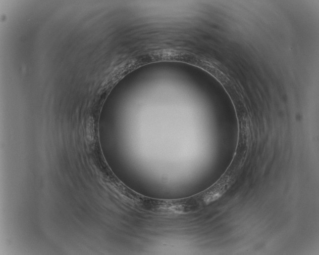 X0000073900760200609011718