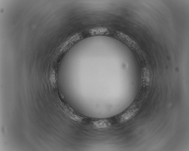 X0000073900761200609011718