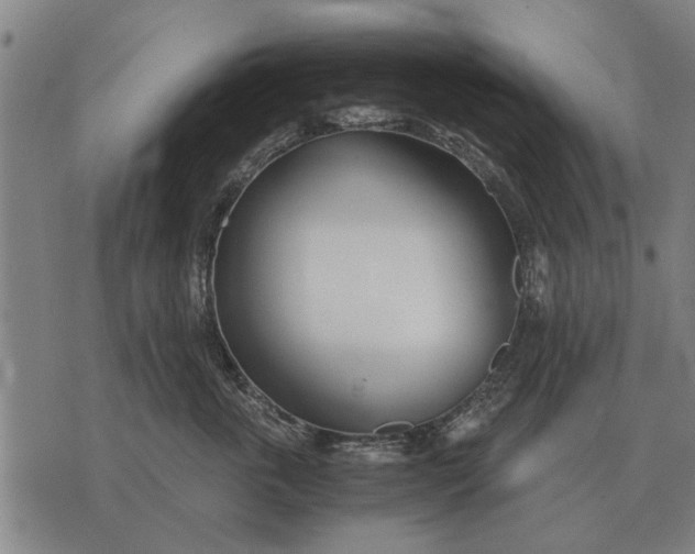 X0000073900763200609011718