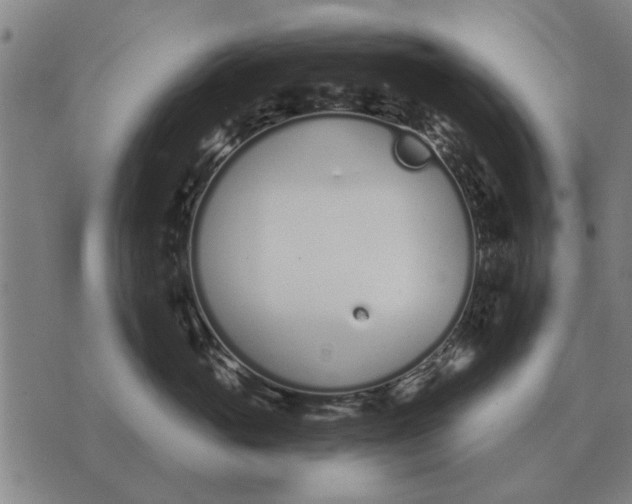 X0000073900765200609011718