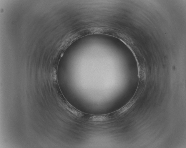 X0000073900766200609011718