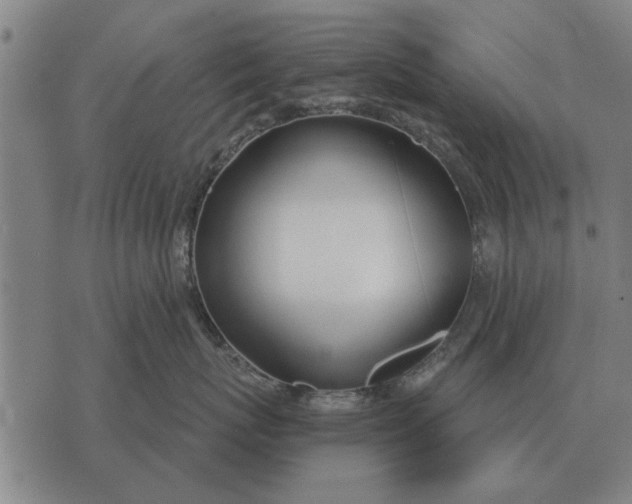 X0000073900767200609011718