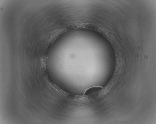 X0000073900768200609011718