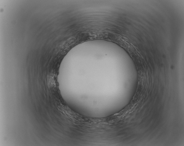 X0000073900770200609011717