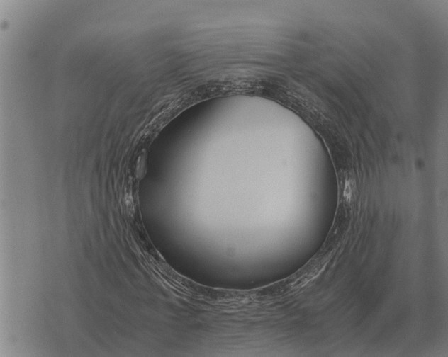 X0000073900771200609011717