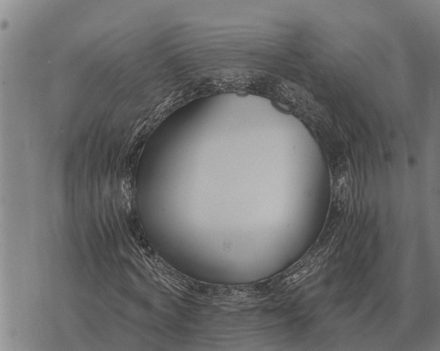 X0000073900772200609011717