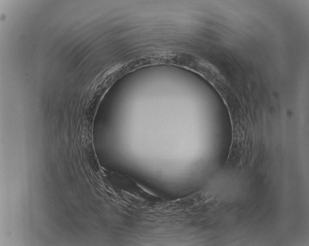 X0000073900773200609011717