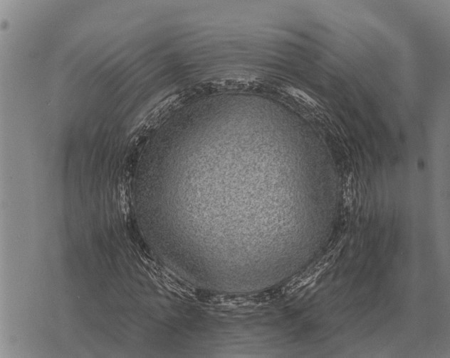 X0000073900774200609011717