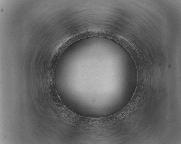 X0000073900776200609011717