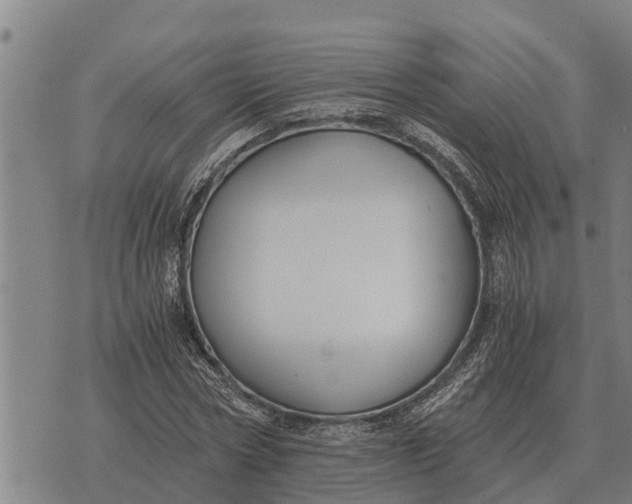 X0000073900778200609011717