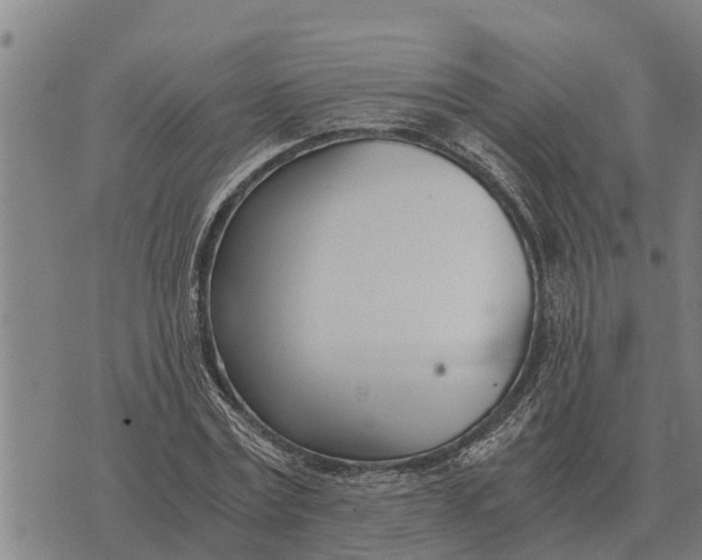 X0000073900779200609011717