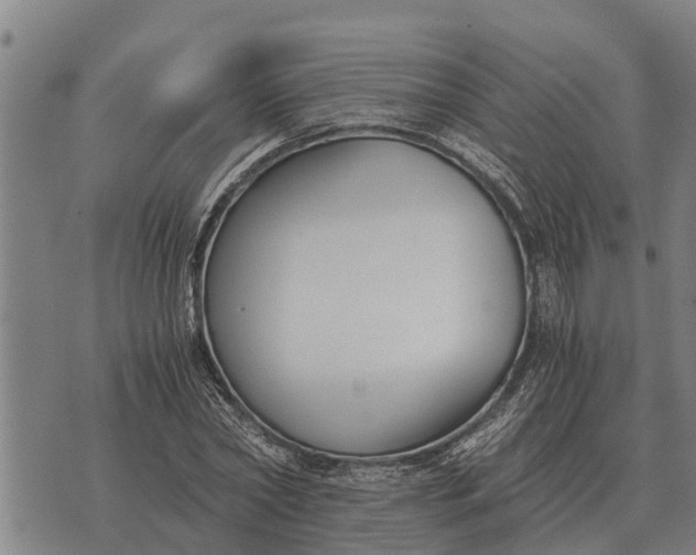 X0000073900782200609011717