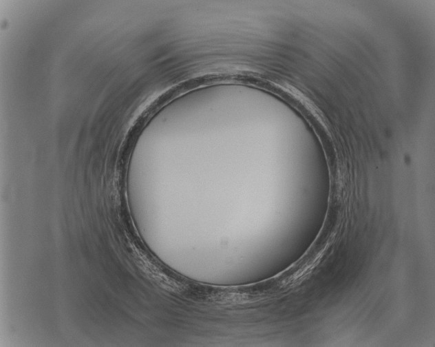 X0000073900783200609011717