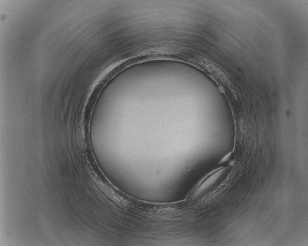 X0000073900784200609011717