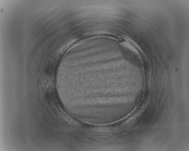 X0000073900785200609011717