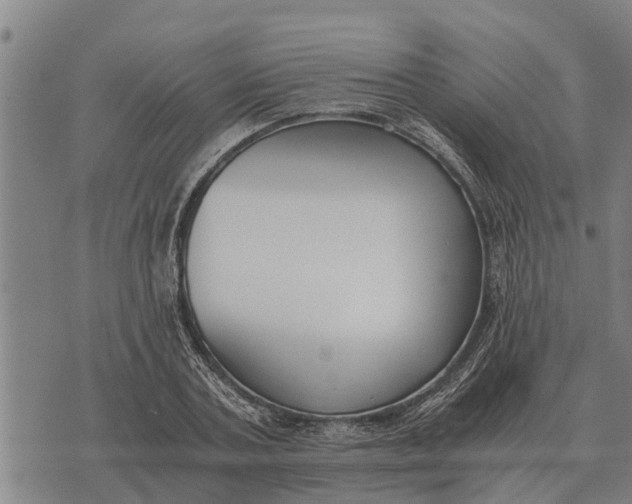 X0000073900787200609011717