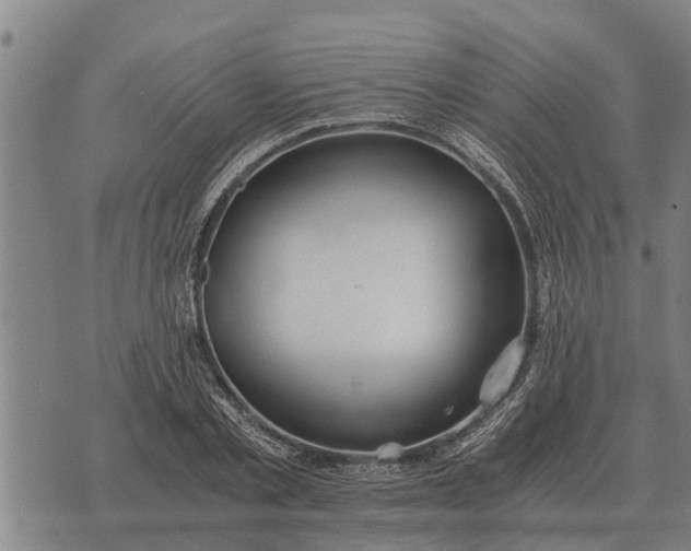 X0000073900789200609011717