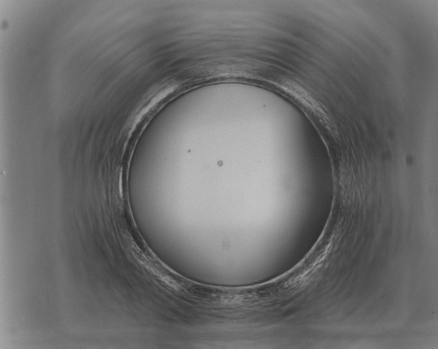 X0000073900790200609011717