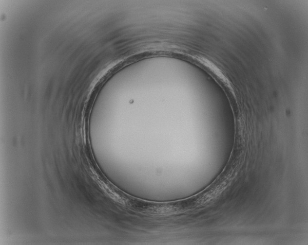 X0000073900791200609011717