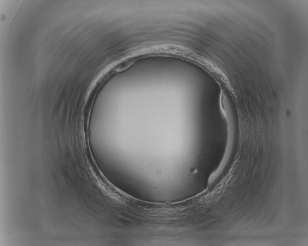 X0000073900792200609011717