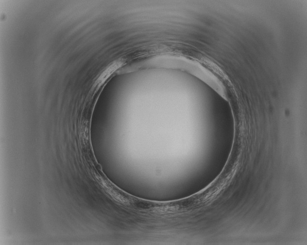 X0000073900793200609011717