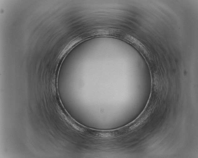 X0000073900794200609011717