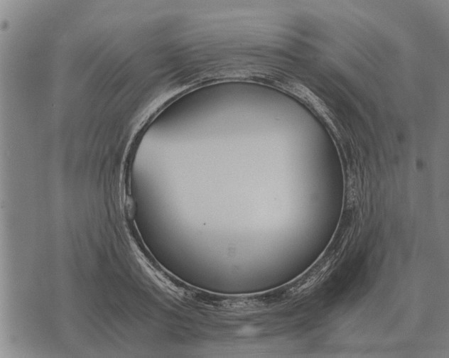 X0000073900795200609011717