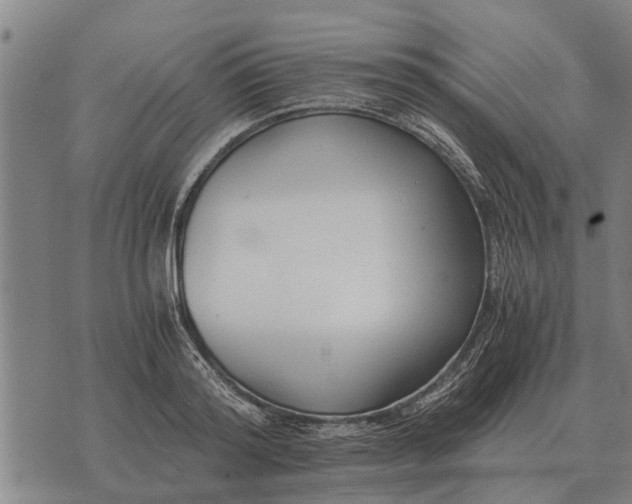 X0000073900796200609011717