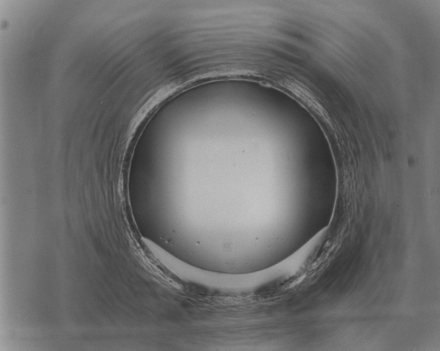 X0000073900797200609011717