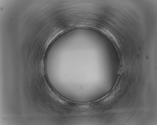 X0000073900798200609011717