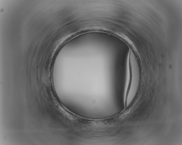 X0000073900799200609011717