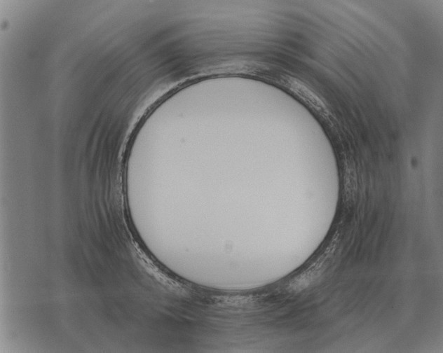 X0000073900800200609011717