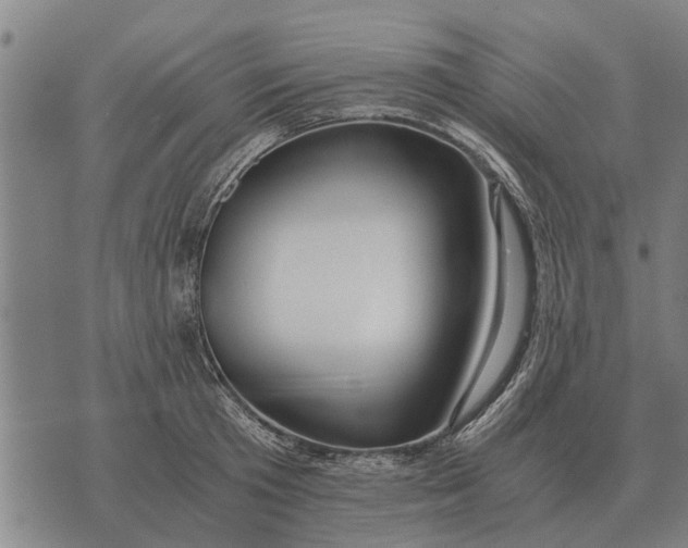 X0000073900801200609011717