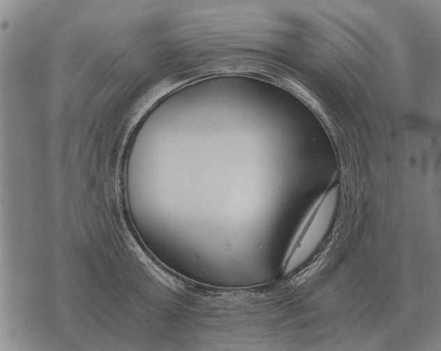 X0000073900803200609011717