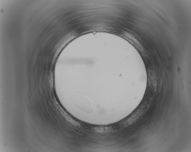 X0000073900804200609011717