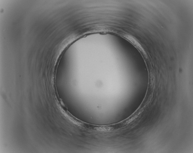 X0000073900805200609011717