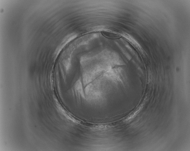 X0000073900806200609011717