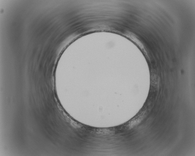 X0000073900807200609011717