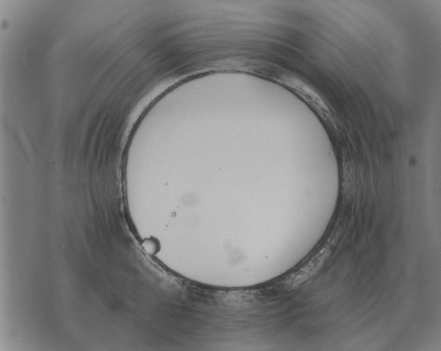 X0000073900808200609011717