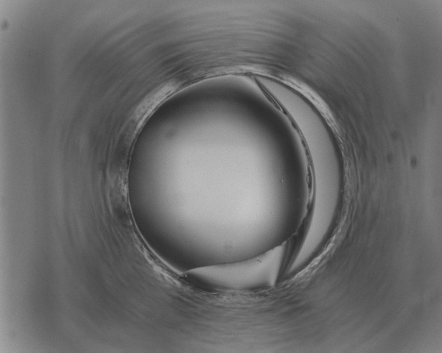 X0000073900809200609011717