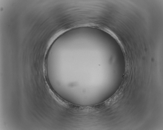 X0000073900811200609011717