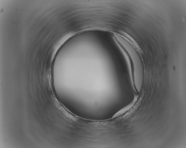 X0000073900812200609011717