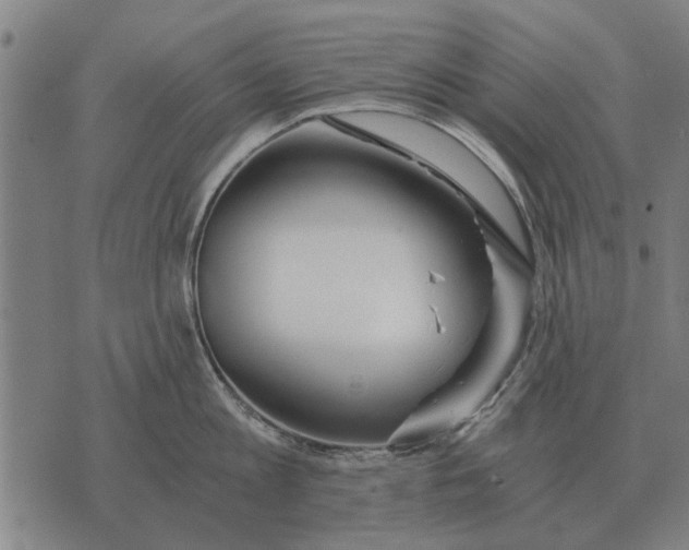 X0000073900813200609011717