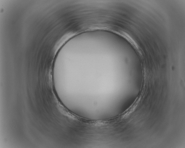 X0000073900814200609011717