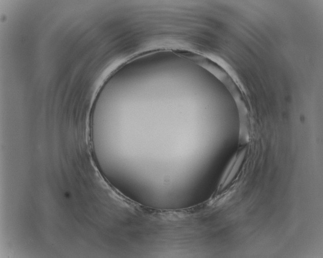 X0000073900815200609011717